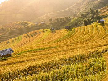 Tour du lịch Sapa 3 ngày 2 đêm